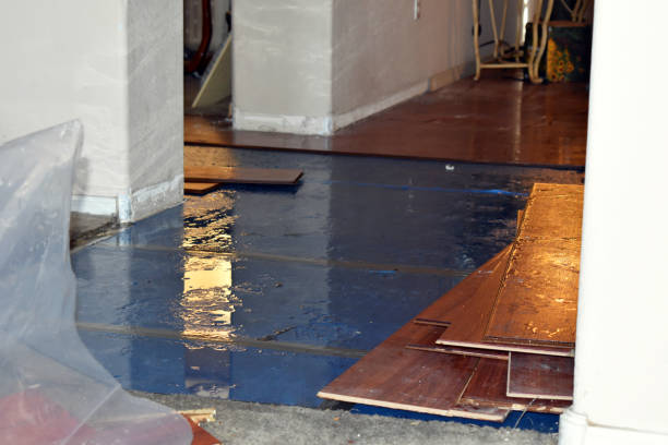 Professional Basement Water Removal technician working in Bedford, VA